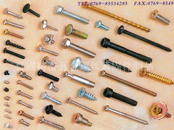 東莞哪里有不銹鋼螺絲廠 東莞良固五金高清圖片 高清大圖